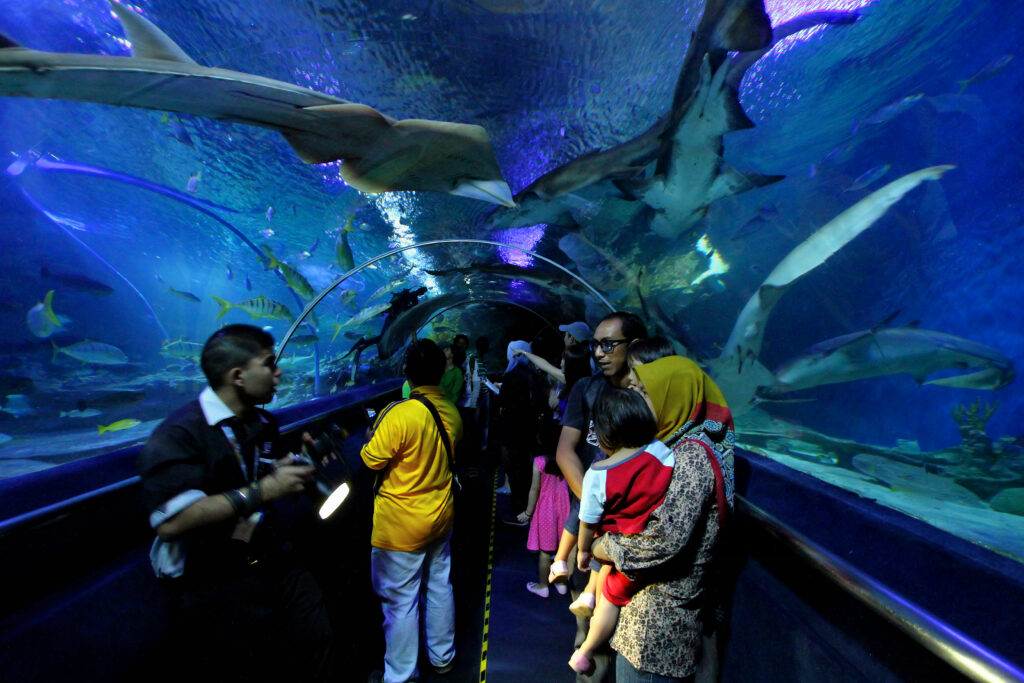 Mengelilingi Aquarium Raksasa