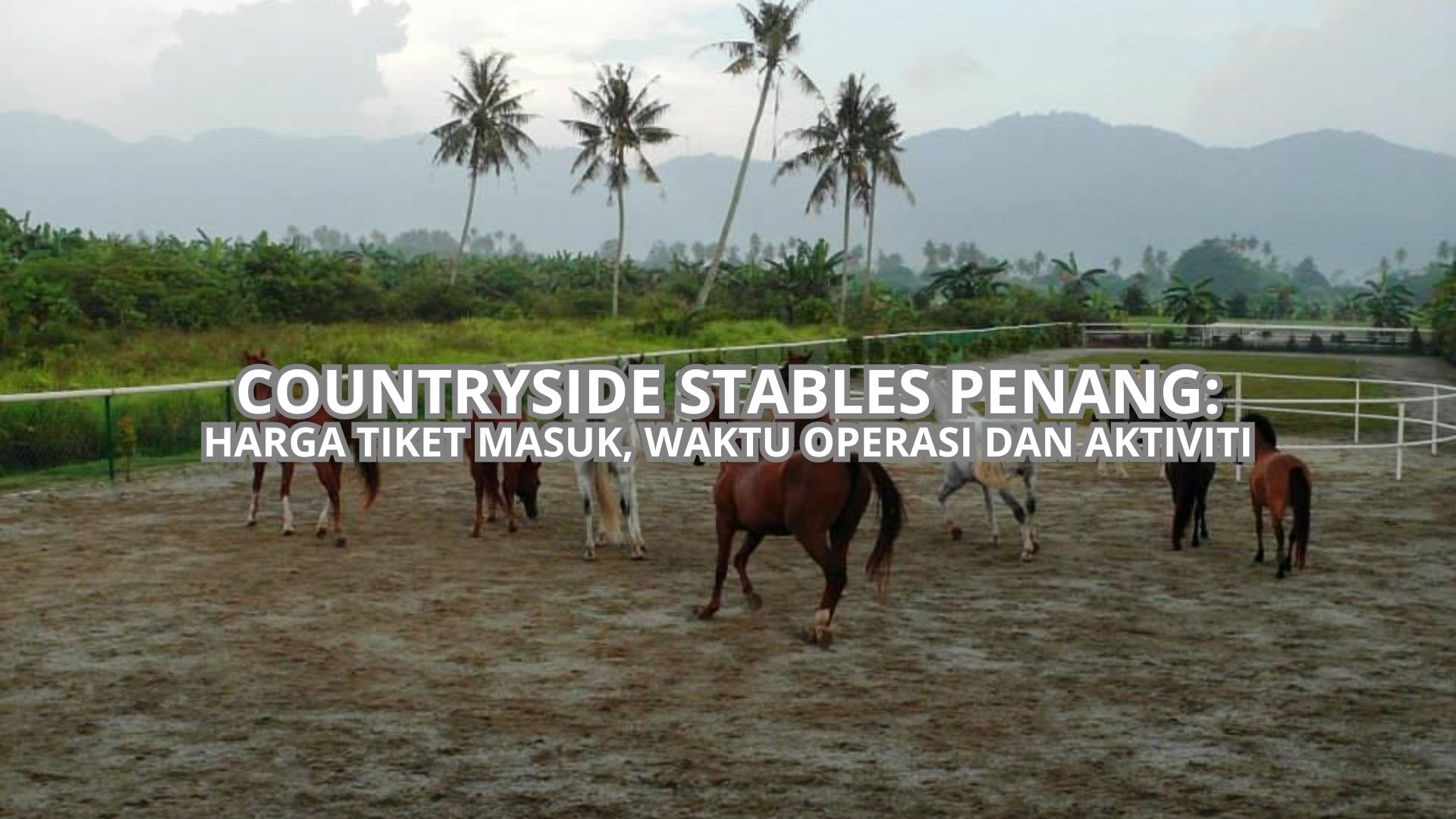 Countryside Stables Penang Cover