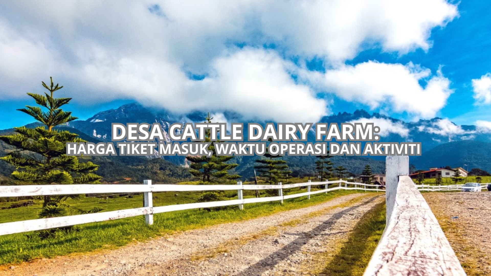 Cover Desa Cattle Dairy Farm