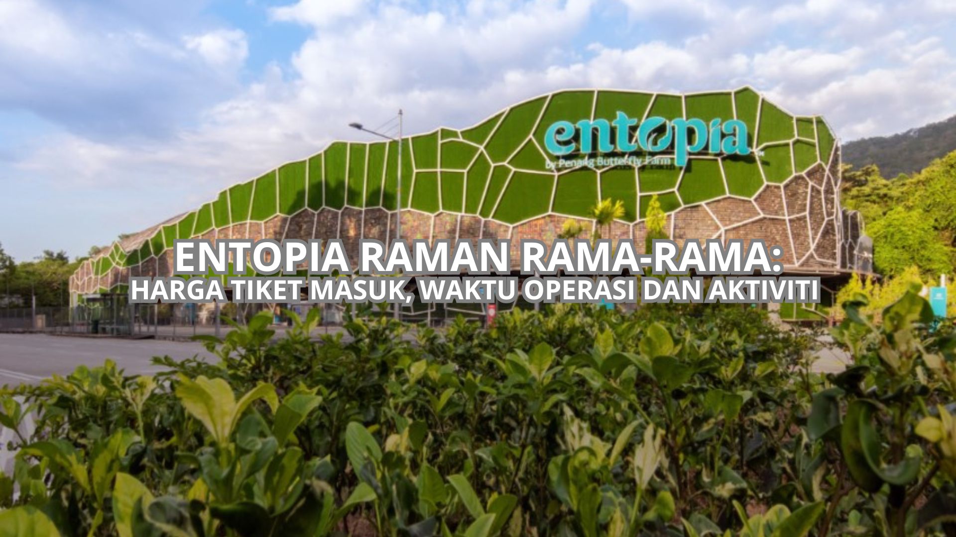 Cover Entopia Raman Rama-Rama