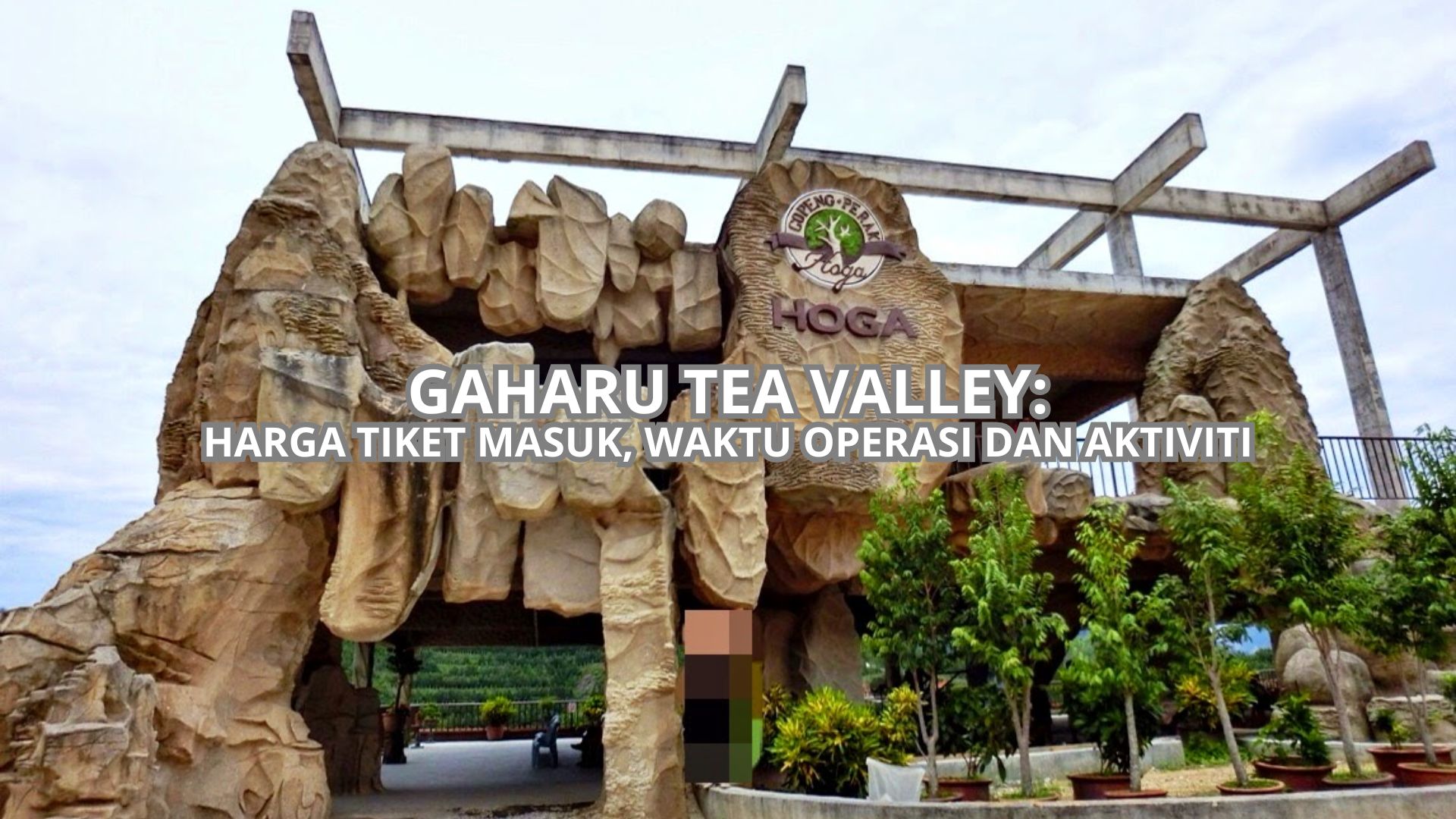 Gaharu Tea Valley Cover