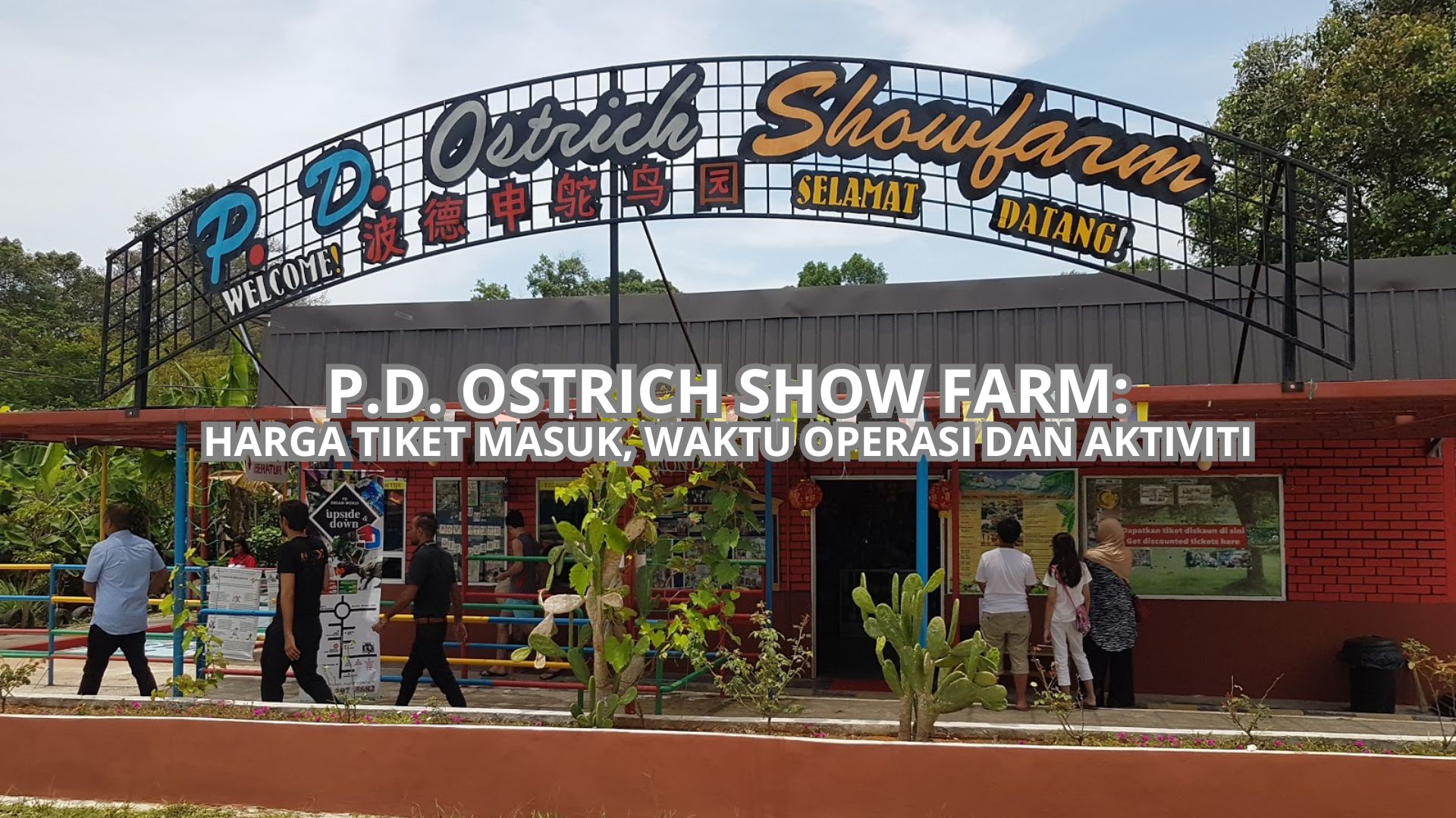 P.D. Ostrich Show Farm Cover