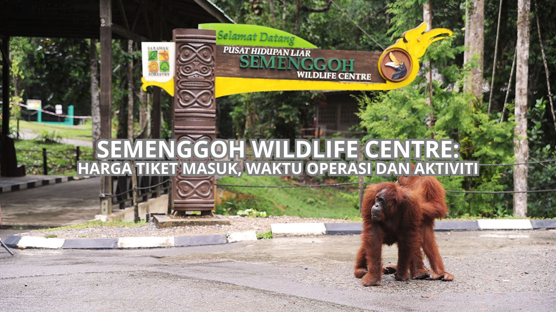 Semenggoh Wildlife Centre Cover