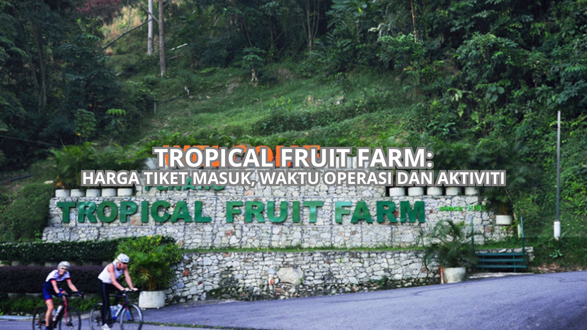 Tropical Fruit Farm Cover
