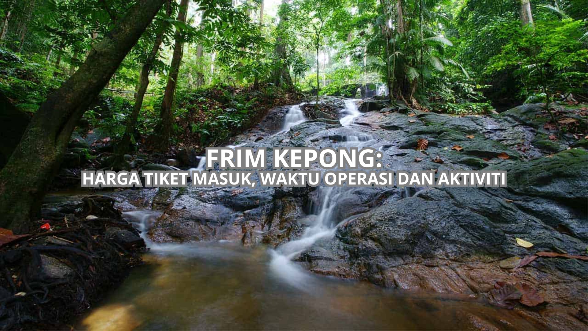FRIM Kepong Cover