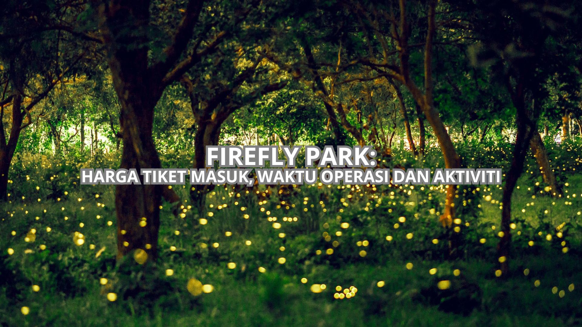 Firefly Park Cover