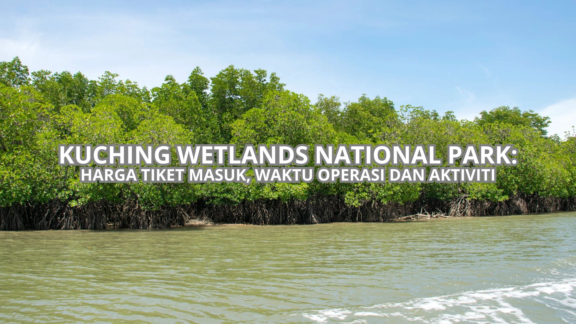 Kuching Wetlands National Park Cover
