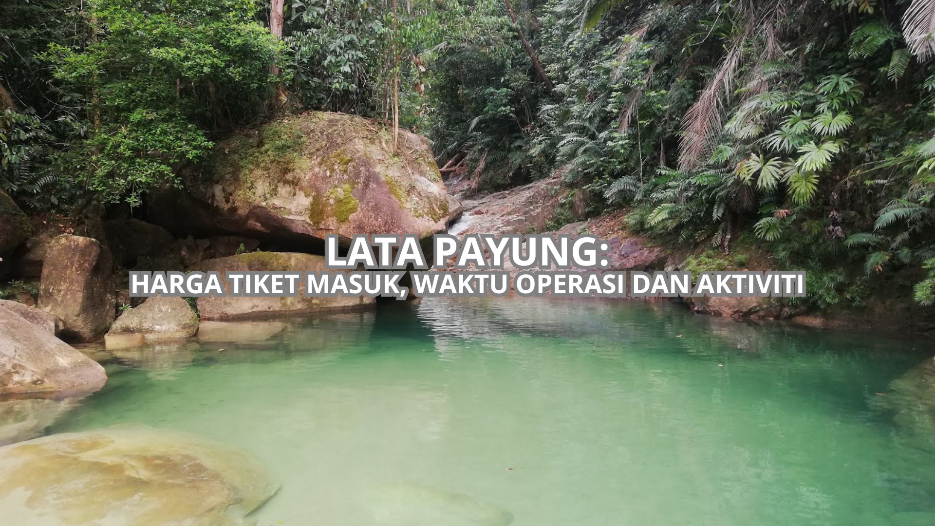 Lata Payung Cover