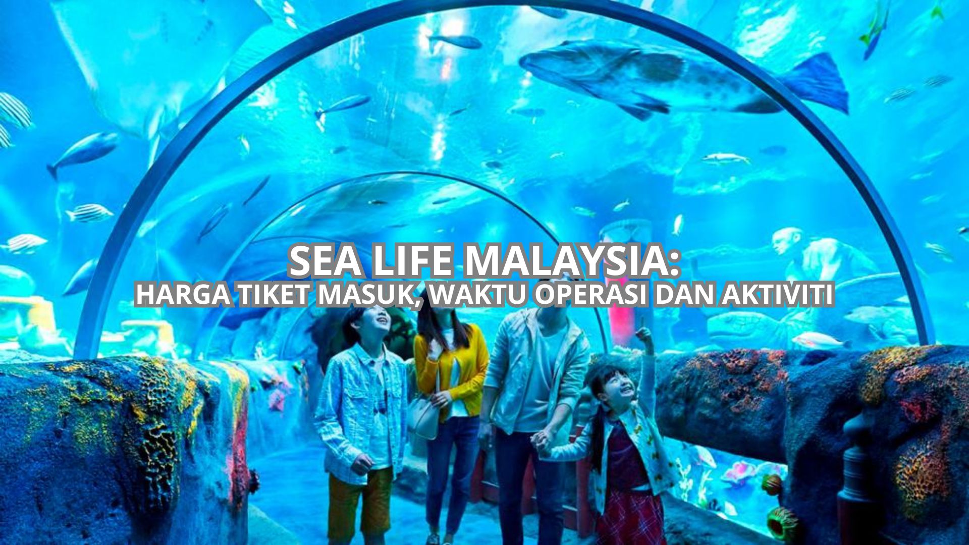 SEA LIFE Malaysia Cover