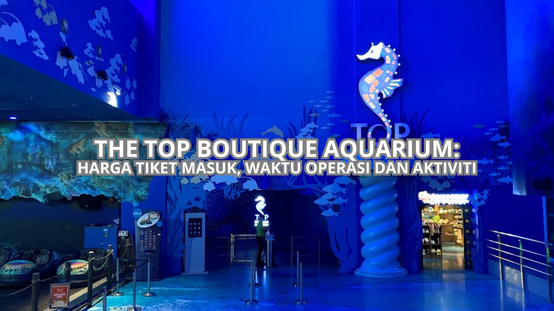 The Top Boutique Aquarium Cover