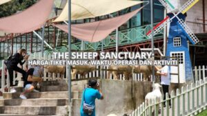 Cover The Sheep Sanctuary