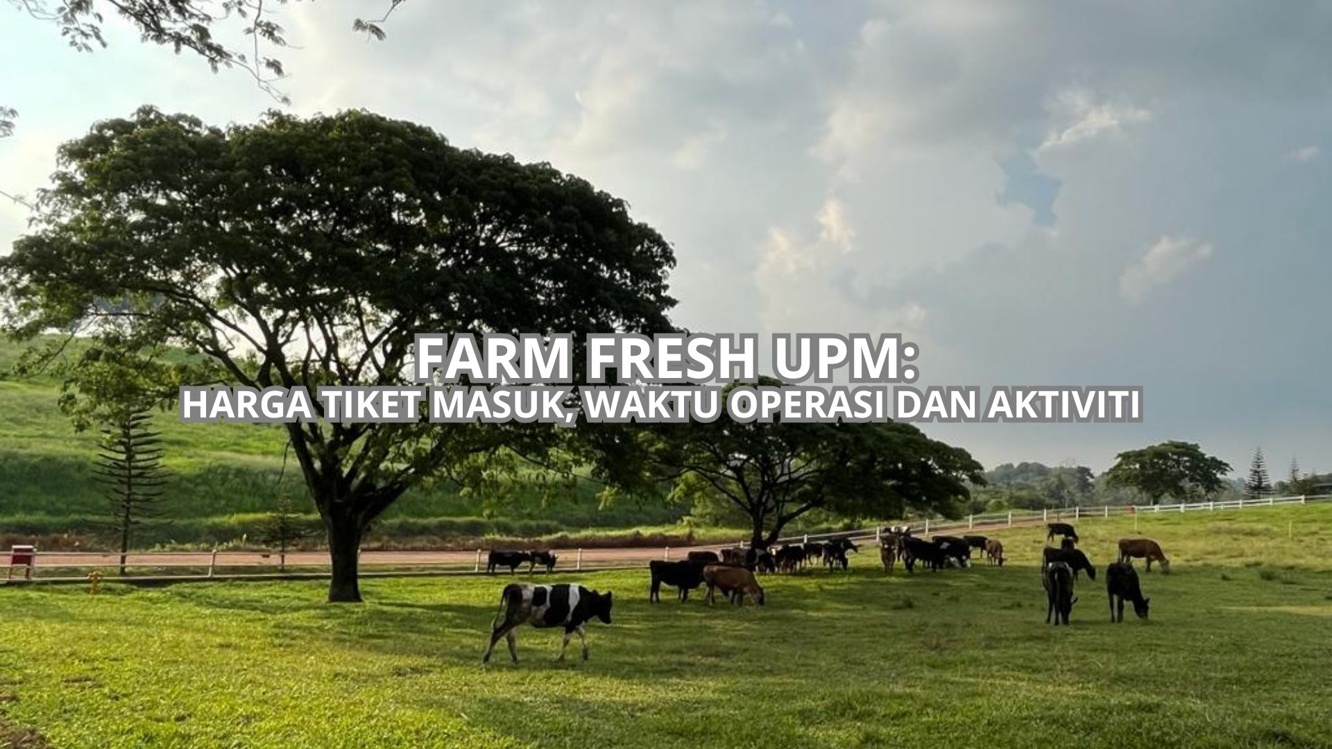 Farm Fresh UPM Cover