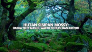 Hutan Simpan Mossy Cover