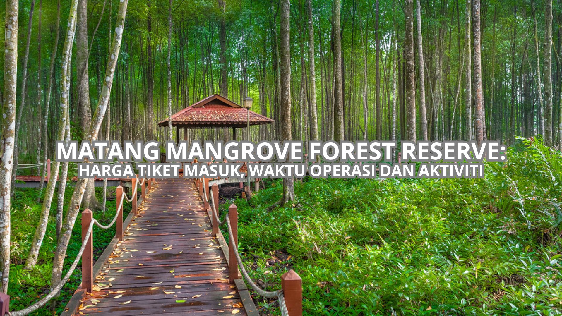 Matang Mangrove Forest Reserve Cover