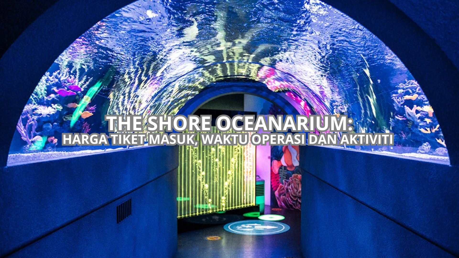The Shore Oceanarium Cover