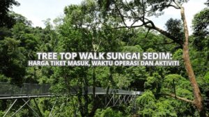 Tree Top Walk Sungai Sedim Cover