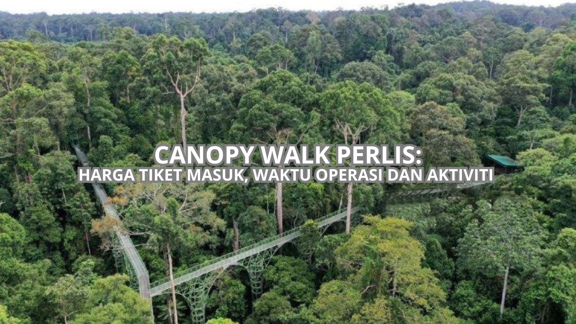 Cover Canopy Walk Perlis